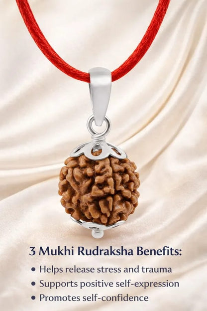 Buy Original 3 Mukhi Rudraksha | Certified Teen Mukhi for Karma Healing | Ratnasetu