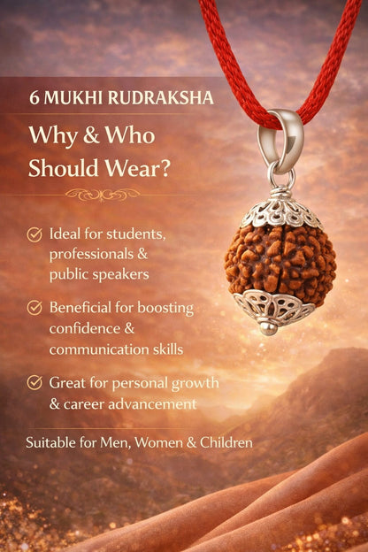 Buy Original 6 Mukhi Rudraksha | Certified Bead for Focus & Willpower | Ratnaset