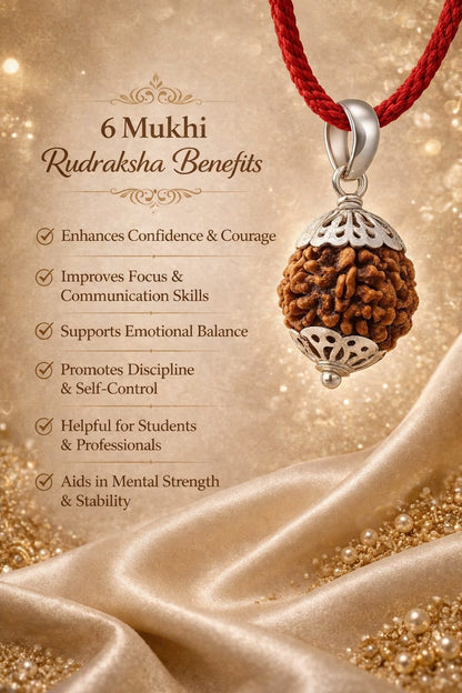 Buy Original 6 Mukhi Rudraksha | Certified Bead for Focus & Willpower | Ratnaset
